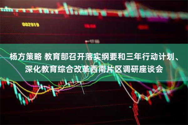 杨方策略 教育部召开落实纲要和三年行动计划、深化教育综合改革西南片区调研座谈会