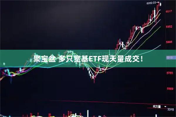 聚宝盆 多只宽基ETF现天量成交！