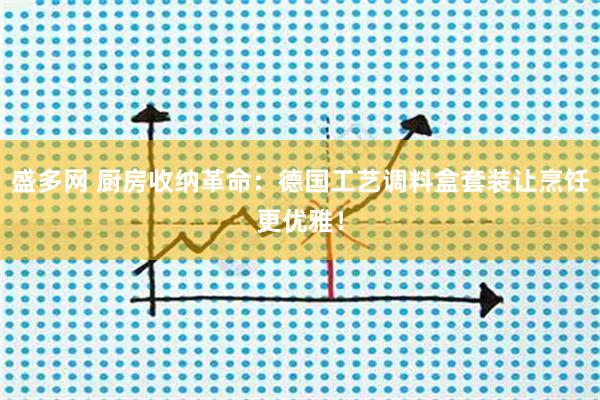 盛多网 厨房收纳革命：德国工艺调料盒套装让烹饪更优雅！