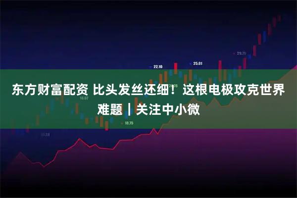 东方财富配资 比头发丝还细！这根电极攻克世界难题｜关注中小微